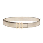 D-FENCE BELT