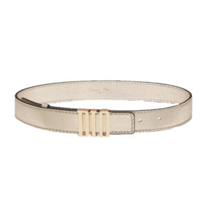 D-FENCE BELT