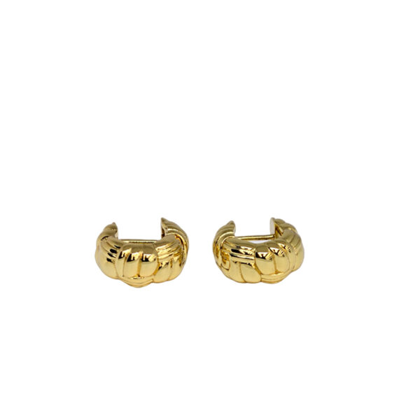 Bottega Veneta Earrings