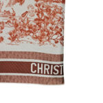 Dior Scarf
