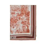Dior Scarf