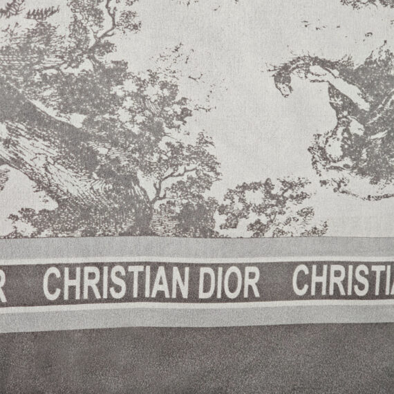 Dior Scarf