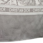 Dior Scarf