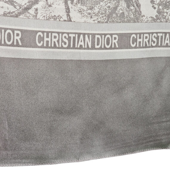 Dior Scarf