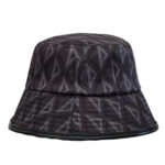 Hat Dior