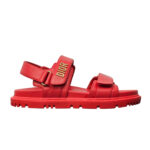 Dior Slippers