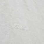 Loro Piana Shirt