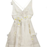 Zimmermann Dress