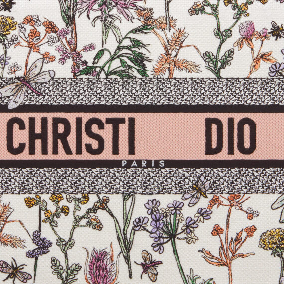 Dior Bag