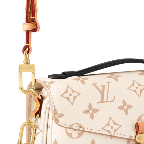 LV Bag