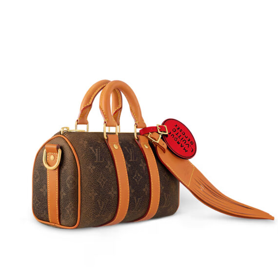 LV Bag