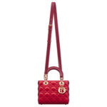 Dior Bag