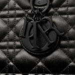 Dior Bag
