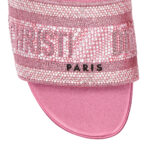 Dior Slippers