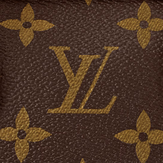 LV Bag