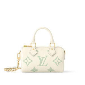 LV Bag