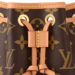 LV Bag