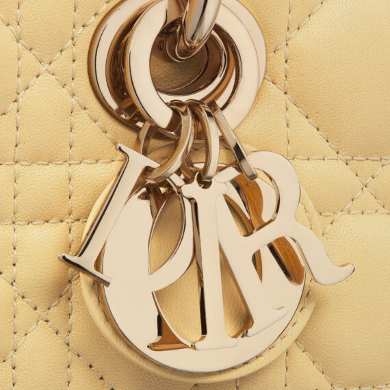 Dior Bag