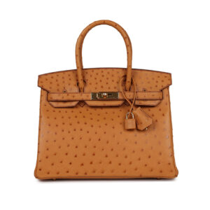 Medium Hermes Birkin Bag