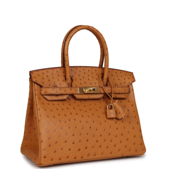Medium Hermes Birkin Bag