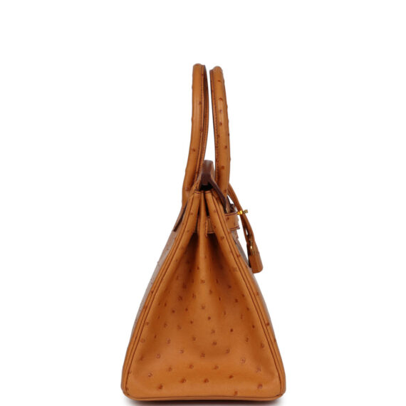 Medium Hermes Birkin Bag