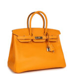 Medium Hermes Birkin Bag