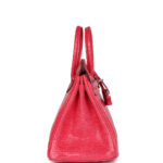 Medium Hermes Birkin Bag