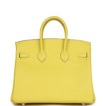 Large Hermes Birkin Bag