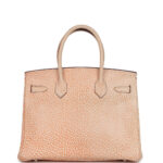 Medium Hermes Birkin Bag