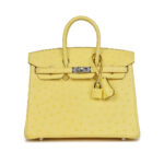 Large Hermes Birkin Bag
