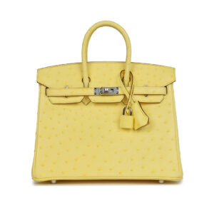 Large Hermes Birkin Bag