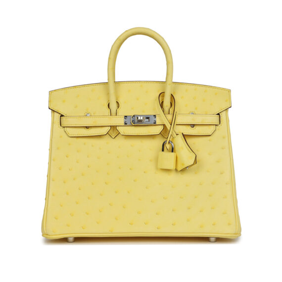 Large Hermes Birkin Bag