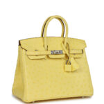 Large Hermes Birkin Bag