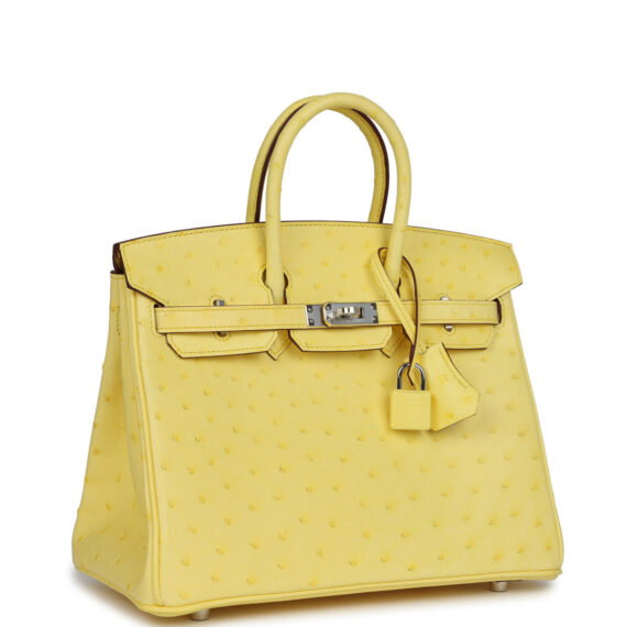 Large Hermes Birkin Bag