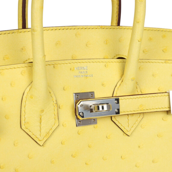 Large Hermes Birkin Bag