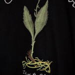 Dior T-Shirt