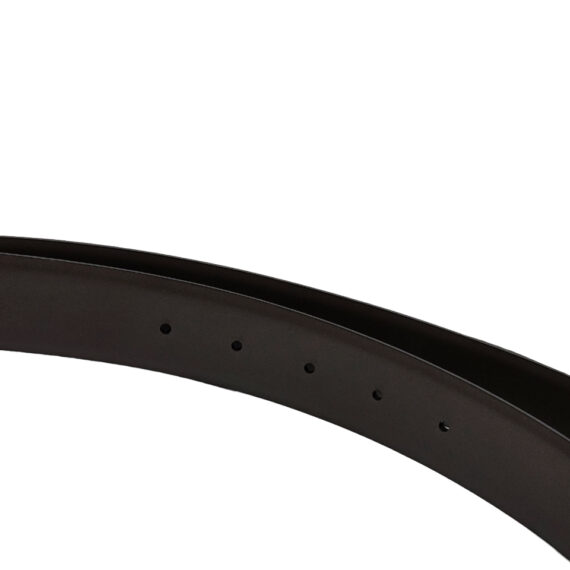 Ferragamo Belt