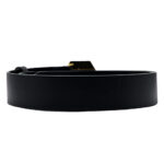 Philipp Plein Belt