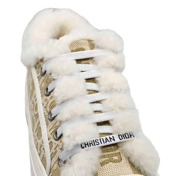 Dior Sneakers