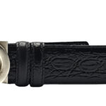 Ferragamo Belt