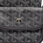 Goyard Bag