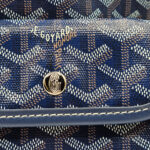 Goyard Bag