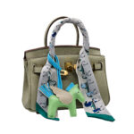 Hermes Bag