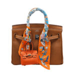 Hermes Bag