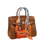 Hermes Bag