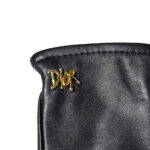 Dior Gloves