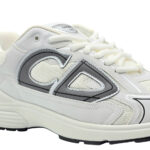 Dior Sneakers