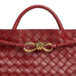 Bottega Veneta Bag