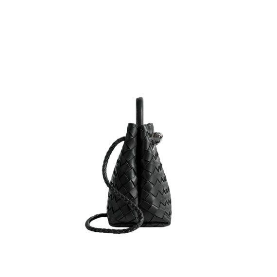 Bottega Veneta Bag