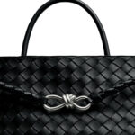 Bottega Veneta Bag